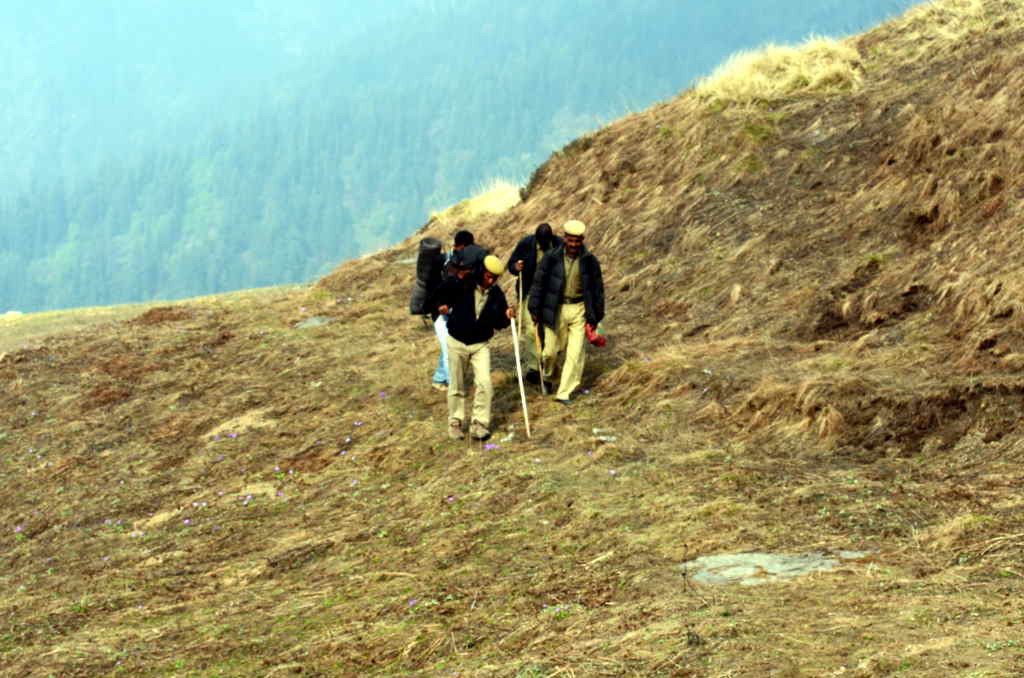 Group Patrolling (Click to enlarge)