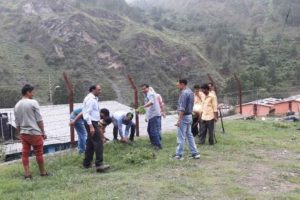 Parthenium eradication programme in NHPC PHEP campus