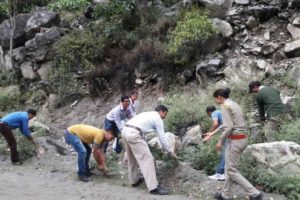 Parthenium eradication programme run by GHNP staff, at Jiwa Nala Valley