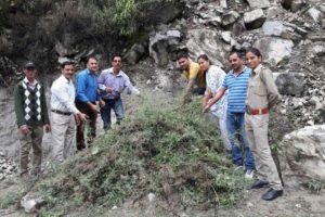 Parthenium eradication programme run by GHNP staff, at Jiwa Nala Valley