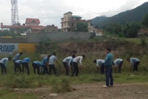 Parthenium Eradication Campaign in Kullu by ITI students