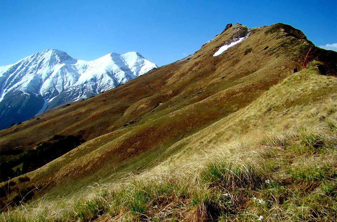 Snow fed mountains and green meadows: General Geography GHNP