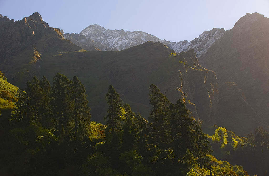 Tirthan Valley 3,300 mtrs ( Click to enlarge)