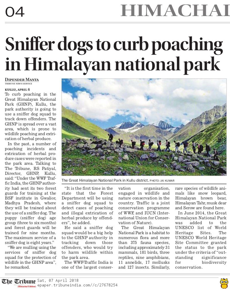 Training the local women on pine needle's product making ( click to enlarge)